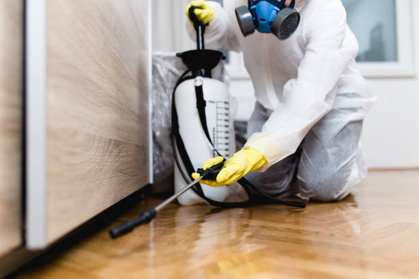 Best Pest Prevention Services  in Dillon, SC