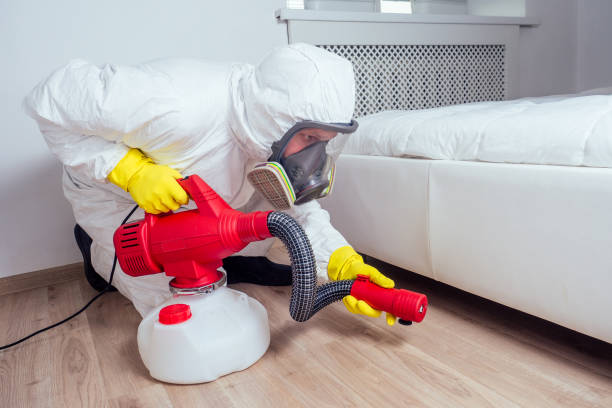 Best Local Pest Control Services  in Dillon, SC