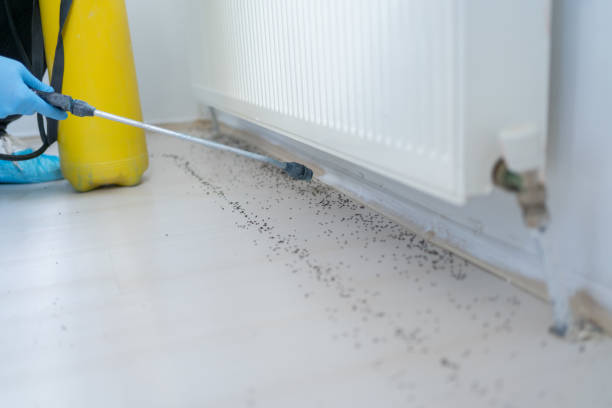 Pest Control Cost in Dillon, SC